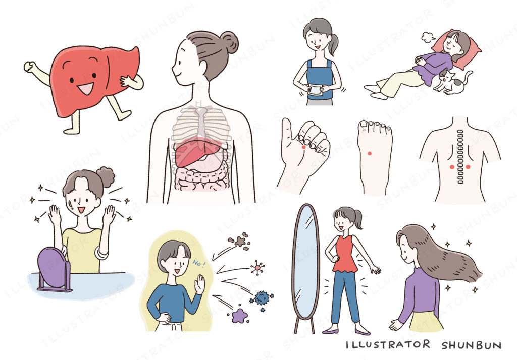 【お仕事】 デルメッド通信2024 冬号　特集「今こそ始めましょう 肝活！」 イラスト